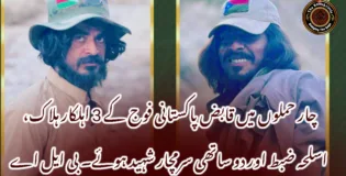 چار حملوں میں قابض پاکستانی فوج کے 3 اہلکار ہلاک، اسلحہ ضبط اور دو ساتھی سرمچار شہید ہوئے۔ بی ایل اے