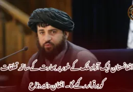 افغانستان ایک آزاد ملک کے طور پر بھارت کے ساتھ تعلقات کو برقرار رکھے گا۔ افغان وزیر دفاع