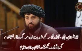 افغانستان ایک آزاد ملک کے طور پر بھارت کے ساتھ تعلقات کو برقرار رکھے گا۔ افغان وزیر دفاع