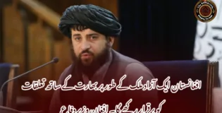 افغانستان ایک آزاد ملک کے طور پر بھارت کے ساتھ تعلقات کو برقرار رکھے گا۔ افغان وزیر دفاع
