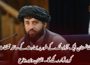 افغانستان ایک آزاد ملک کے طور پر بھارت کے ساتھ تعلقات کو برقرار رکھے گا۔ افغان وزیر دفاع