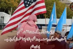 امریکا وائٹ آفس کے سامنے پمفلٹ تقسیم  پاکستان دہشت گرد ریاست ہے جو محکوم اقوام کا استحصال کر رہا ہے۔ بی این ایم