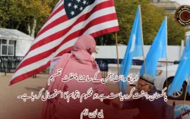 امریکا وائٹ آفس کے سامنے پمفلٹ تقسیم  پاکستان دہشت گرد ریاست ہے جو محکوم اقوام کا استحصال کر رہا ہے۔ بی این ایم