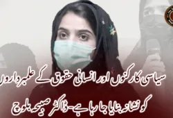 سیاسی کارکنوں اور انسانی حقوق کے علمبرداروں کو نشانہ بنایا جا رہا ہے- ڈاکٹر صبیحہ بلوچ