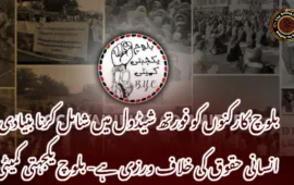 بلوچ کارکنوں کو فورتھ شیڈول میں شامل کرنا بنیادی انسانی حقوق کی خلاف ورزی ہے- بلوچ یکجہتی کمیٹی