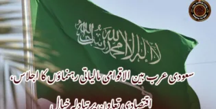 سعودی عرب بین الاقوامی مالیاتی رہنماؤں کا اجلاس، اقتصادی تعاون پر تبادلہ خیال