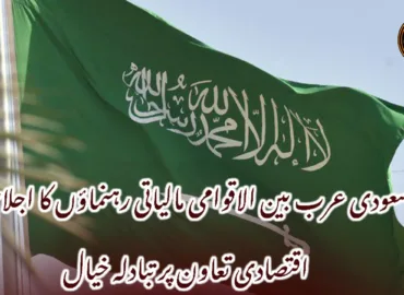 سعودی عرب بین الاقوامی مالیاتی رہنماؤں کا اجلاس، اقتصادی تعاون پر تبادلہ خیال