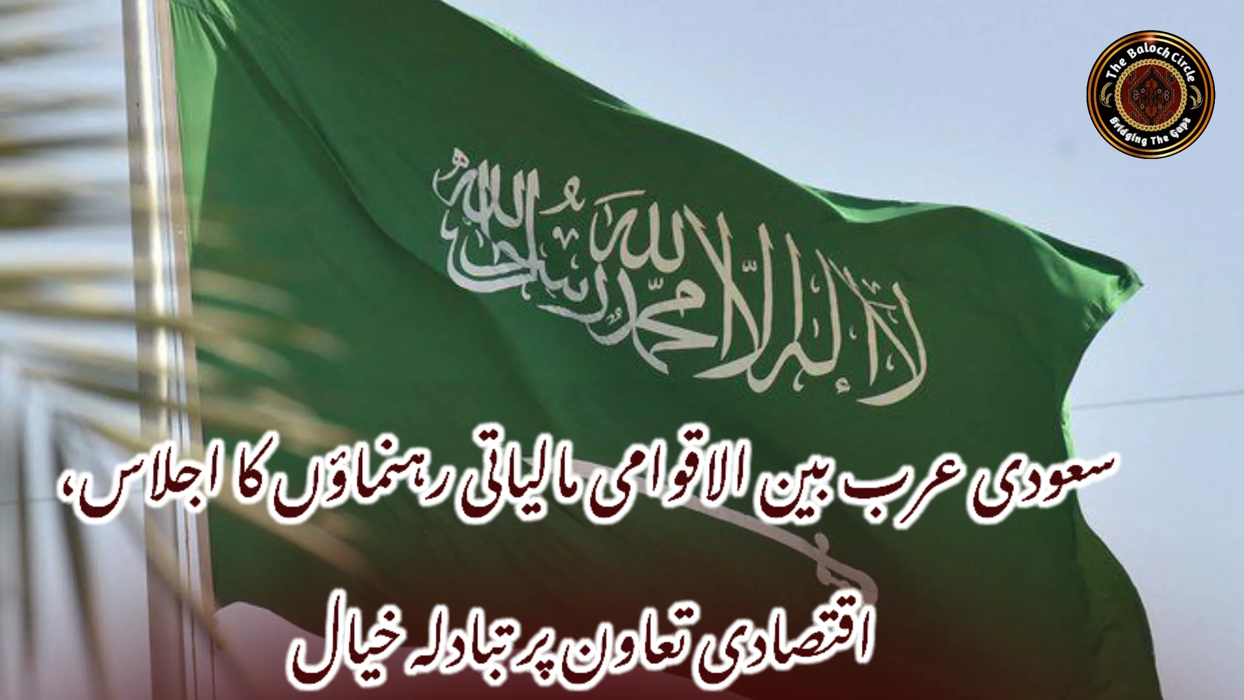 سعودی عرب بین الاقوامی مالیاتی رہنماؤں کا اجلاس، اقتصادی تعاون پر تبادلہ خیال