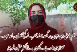 ہم اپنی ہی زمین پر گھومنے پھرنے کیلئے این او سی کے محتاج بنا دیے گئے ہیں۔ ڈاکٹر شلی بلوچ