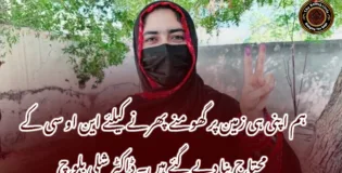 ہم اپنی ہی زمین پر گھومنے پھرنے کیلئے این او سی کے محتاج بنا دیے گئے ہیں۔ ڈاکٹر شلی بلوچ