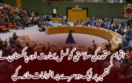 اقوام متحدہ کی سلامتی کونسل بھارت اور پاکستان نے کشمیر پر ایک دوسرے پر الزامات عائد کیے