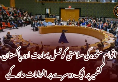 اقوام متحدہ کی سلامتی کونسل بھارت اور پاکستان نے کشمیر پر ایک دوسرے پر الزامات عائد کیے