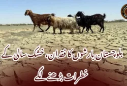 بلوچستان بارشوں کا فقدان، خشک سالی کے خطرات بڑھنے لگے