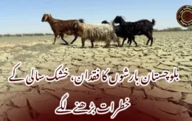 بلوچستان بارشوں کا فقدان، خشک سالی کے خطرات بڑھنے لگے