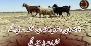 بلوچستان بارشوں کا فقدان، خشک سالی کے خطرات بڑھنے لگے