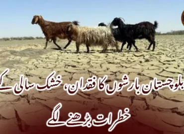 بلوچستان بارشوں کا فقدان، خشک سالی کے خطرات بڑھنے لگے