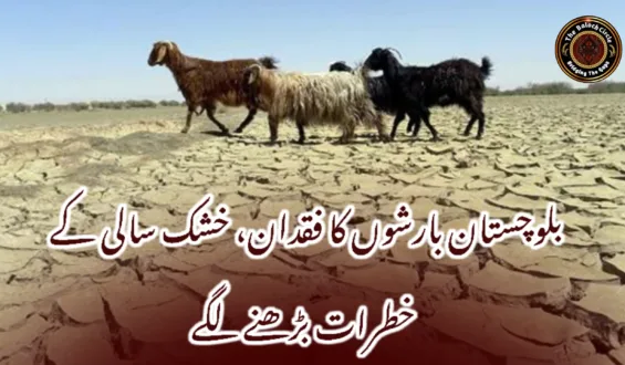 بلوچستان بارشوں کا فقدان، خشک سالی کے خطرات بڑھنے لگے