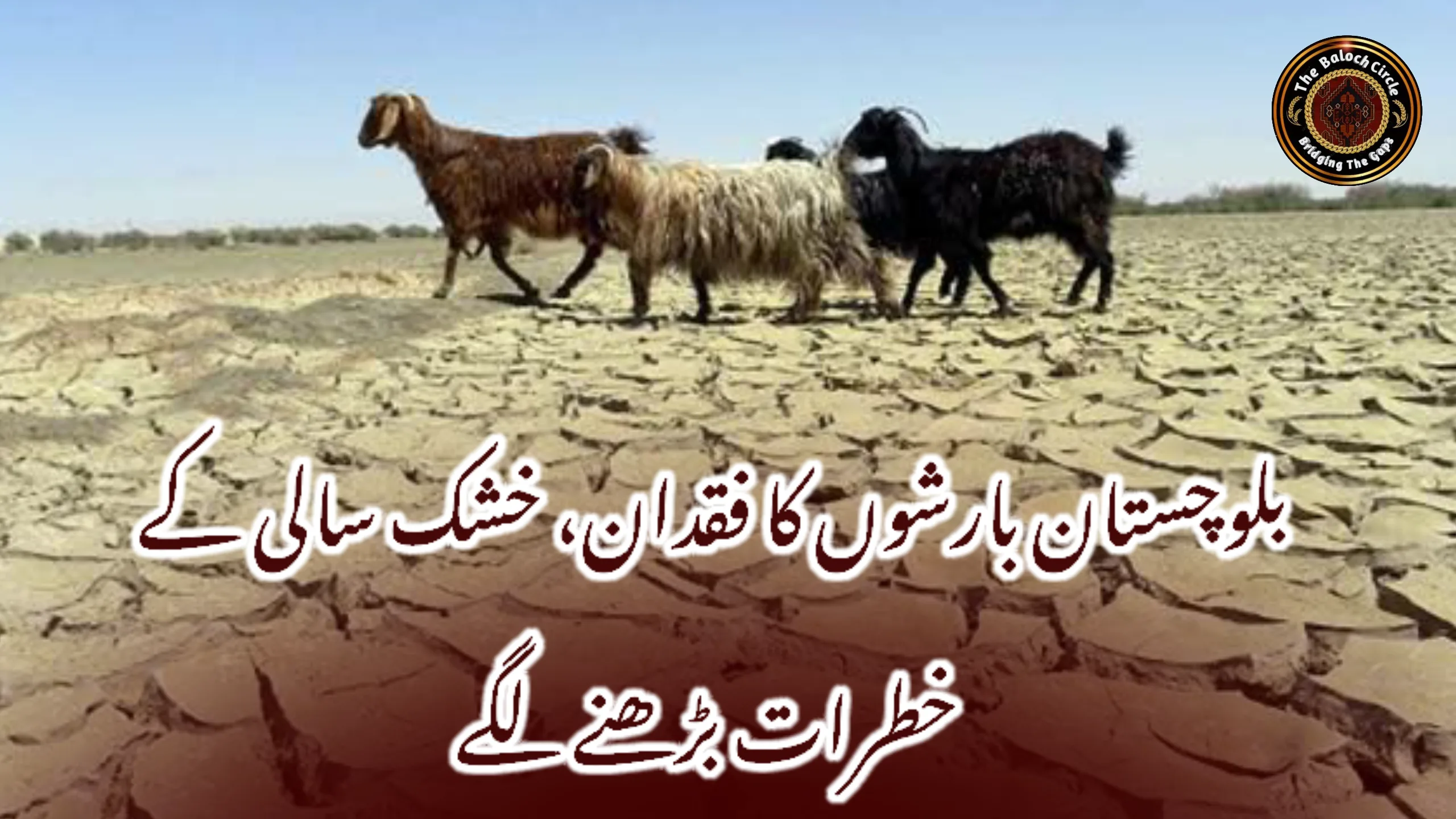 بلوچستان بارشوں کا فقدان، خشک سالی کے خطرات بڑھنے لگے