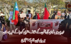 زہری میں فوجی آپریشن کے خلاف جنوبی کوریا کے شہر بوسان میں بی این ایم کا احتجاج