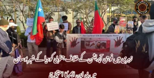 زہری میں فوجی آپریشن کے خلاف جنوبی کوریا کے شہر بوسان میں بی این ایم کا احتجاج