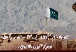 قلات نامعلوم مسلح افراد نے دو مختلف مقامات پر پاکستانی فورسز کو حملوں میں نشانہ بنایا۔