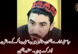 ریاستی ادارے پشتون علاقوں میں بدامنی پیدا کر کے وسائل پر قبضہ کر رہے ہیں۔ منظور پشتین