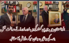 بلوچستان میں جبری گمشدگیوں اور ماورائے عدالت قتل بند کیے جائیں، جان میک ڈونل کا مطالبہ