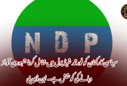 سیاسی کارکنان کو فورتھ شیڈیول میں شامل کرنا جمہوری آواز دبانے کی کوشش ہے۔ این ڈی پی