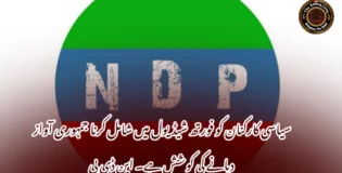 سیاسی کارکنان کو فورتھ شیڈیول میں شامل کرنا جمہوری آواز دبانے کی کوشش ہے۔ این ڈی پی