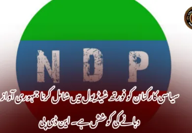 سیاسی کارکنان کو فورتھ شیڈیول میں شامل کرنا جمہوری آواز دبانے کی کوشش ہے۔ این ڈی پی