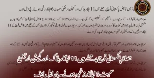 جھاؤ پاکستانی فوج پر حملے میں 11 اہلکار ہلاک اور کیپٹن ارتضیٰ سمیت 6 اہلکار زخمی ہوئے۔ بی ایل ایف