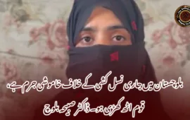 بلوچستان میں جاری نسل کشی کے خلاف خاموشی جرم ہے، قوم اٹھ کھڑی ہو۔ ڈاکٹر صبیحہ بلوچ