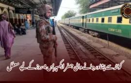 کوئٹہ سے پشاور جانے والی جعفر ایکسپریس 4 روز کے لیے معطل