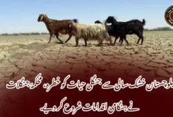 بلوچستان خشک سالی سے جنگلی حیات کو خطرہ، محکمۂ جنگلات نے ہنگامی اقدامات شروع کر دیے.