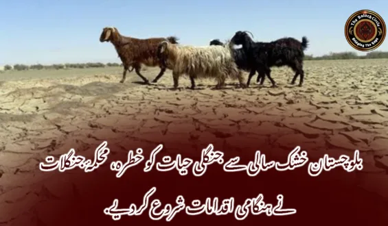 بلوچستان خشک سالی سے جنگلی حیات کو خطرہ، محکمۂ جنگلات نے ہنگامی اقدامات شروع کر دیے.