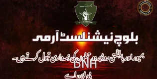 بمپور اور بالِشْتی روڈ پر دو حملوں کی ذمہداری قبول کرتے ہیں۔ بی این اے