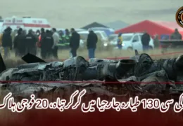 ترکی سی 130 طیارہ جارجیا میں گرکر تباہ، 20 فوجی ہلاک۔