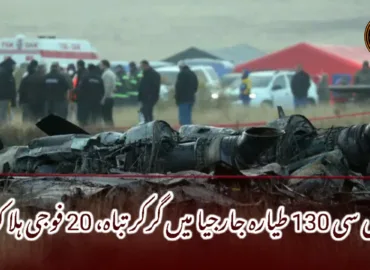 ترکی سی 130 طیارہ جارجیا میں گرکر تباہ، 20 فوجی ہلاک۔