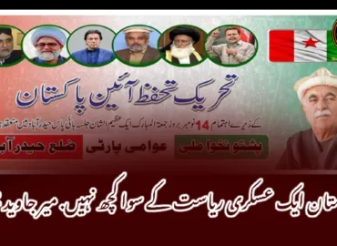 پاکستان ایک عسکری ریاست کے سوا کچھ نہیں. میر جاوید مینگل