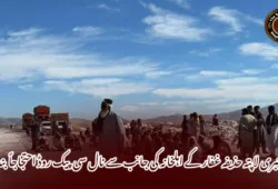 جبری لاپتہ حذیفہ غفار کے اہلخانہ کی جانب سے نال سی پیک روڈ احتجاجاً بند