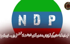 شہداءِ بلوچستان کی قربانیاں ہماری قومی شناخت کا تسلسل ہیں۔ این ڈی پی