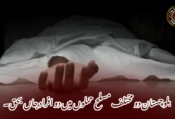 بلوچستان دو مختلف مسلح حملوں میں دو افراد جاں بحق۔