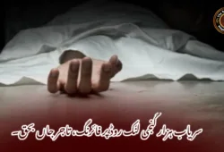 سریاب ہزار گنجی لنک روڈ پر فائرنگ، تاجر جاں بحق۔