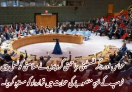 حماس اور دیگر فلسطینی مزاحمتی گروپوں نے سلامتی کونسل میں ٹرمپ کے غزہ منصوبے کی حمایت میں قرارداد کو مسترد کردیا۔