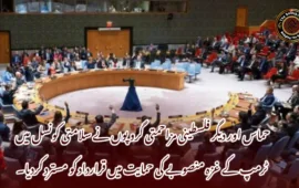 حماس اور دیگر فلسطینی مزاحمتی گروپوں نے سلامتی کونسل میں ٹرمپ کے غزہ منصوبے کی حمایت میں قرارداد کو مسترد کردیا۔