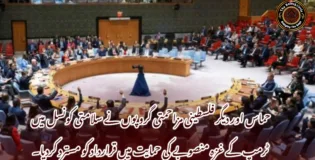 حماس اور دیگر فلسطینی مزاحمتی گروپوں نے سلامتی کونسل میں ٹرمپ کے غزہ منصوبے کی حمایت میں قرارداد کو مسترد کردیا۔