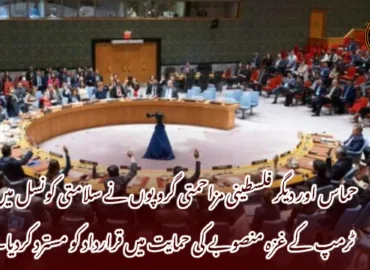 حماس اور دیگر فلسطینی مزاحمتی گروپوں نے سلامتی کونسل میں ٹرمپ کے غزہ منصوبے کی حمایت میں قرارداد کو مسترد کردیا۔
