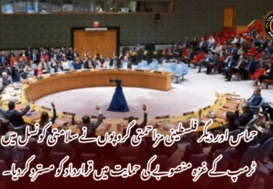 حماس اور دیگر فلسطینی مزاحمتی گروپوں نے سلامتی کونسل میں ٹرمپ کے غزہ منصوبے کی حمایت میں قرارداد کو مسترد کردیا۔