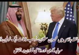 وہائٹ ہاؤس میں محمد بن سلمان–ٹرمپ ملاقات ایک ٹریلین ڈالر سرمایہ کاری اور دفاعی تعاون پر اتفاق