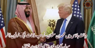 وہائٹ ہاؤس میں محمد بن سلمان–ٹرمپ ملاقات ایک ٹریلین ڈالر سرمایہ کاری اور دفاعی تعاون پر اتفاق